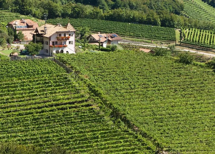 Santlhof - Sauvignon